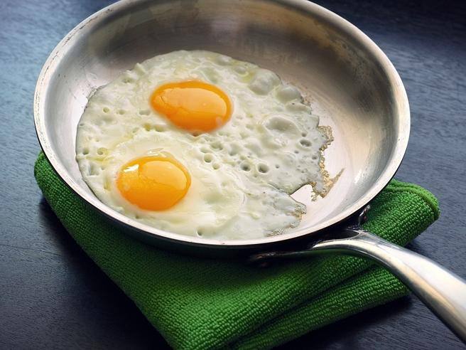 Régime céto et paléo : qu&rsquo;arrive-t-il au corps si vous mangez trop de protéines ?