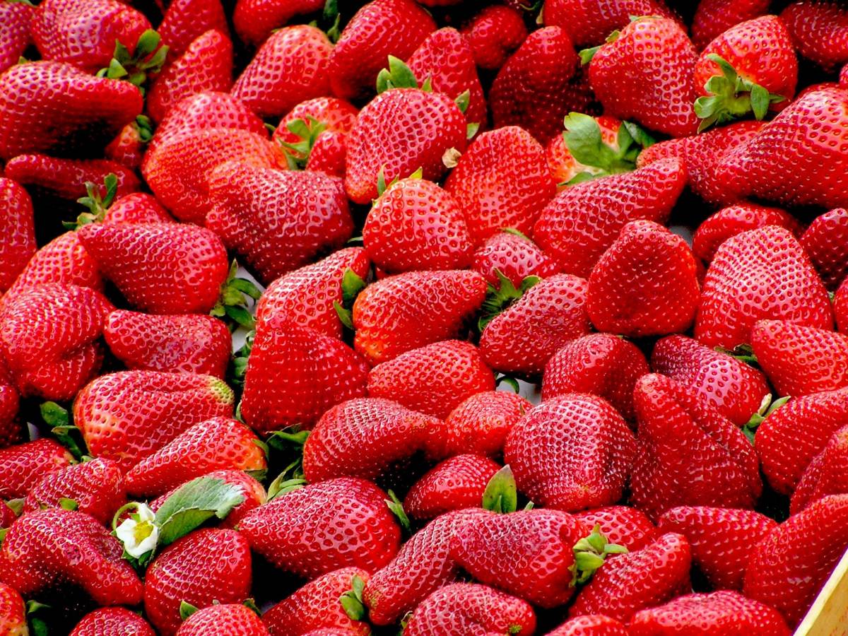 des fraises
