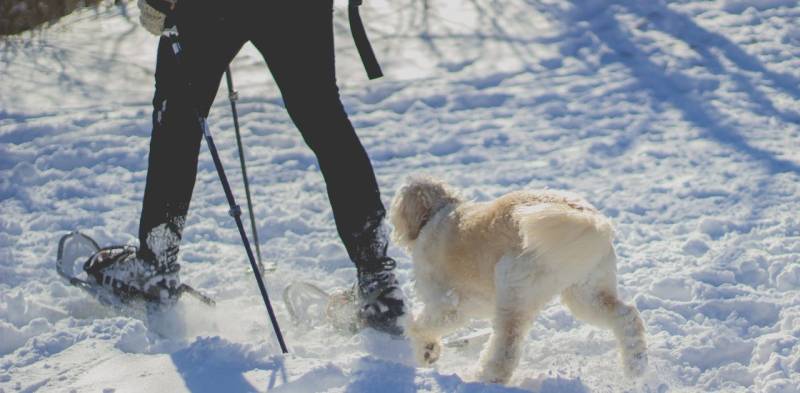 Marcher dans la neige