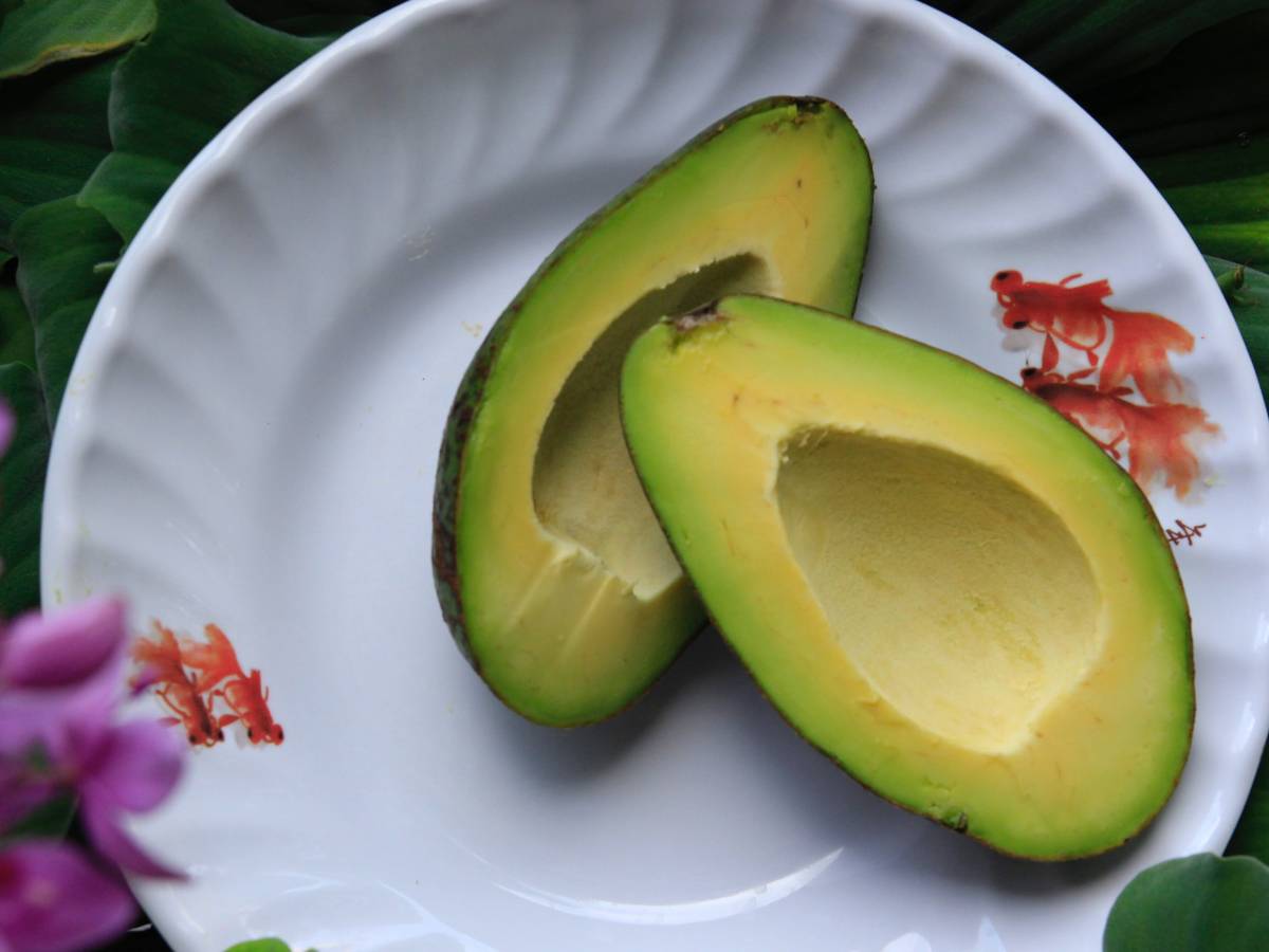 avocat