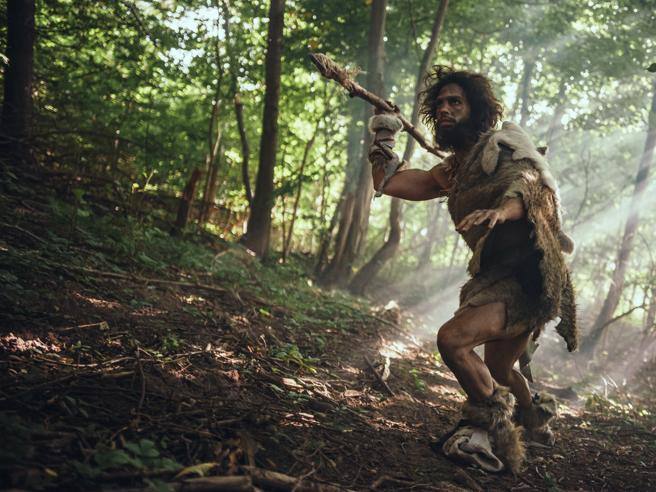 Régime paléo, ce que mangeaient nos ancêtres : peu de viande et beaucoup de plantes