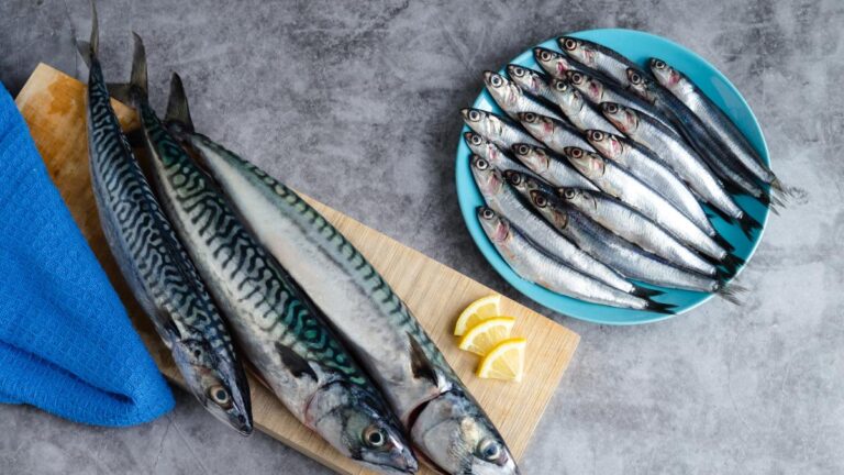 Le poisson bleu sauve des vies et la planète : 750 000 décès par an évités s'il était choisi à la place de la viande rouge