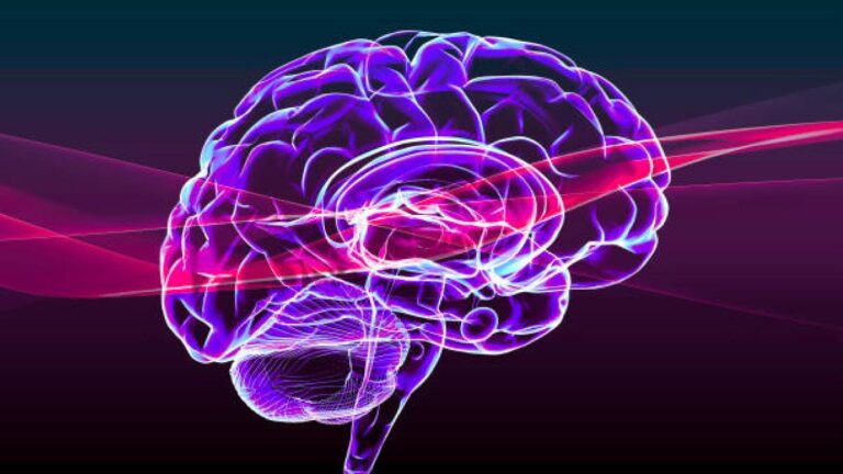 Parkinson, un nouveau gène associé à la maladie découvert