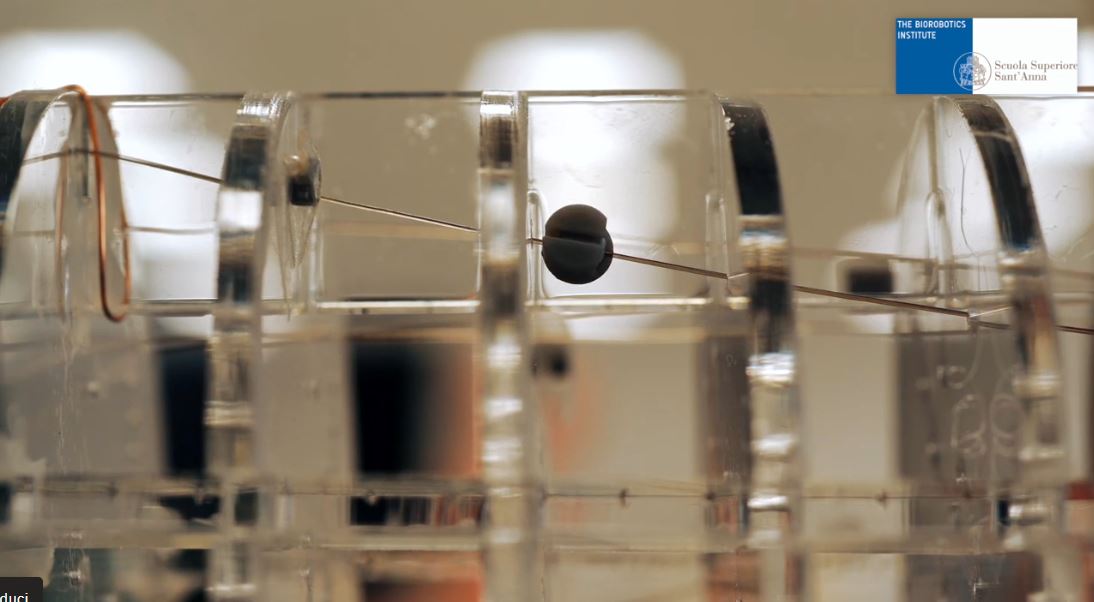 Nouveau type de prothèse de main robotisée basée sur un contrôle magnétique