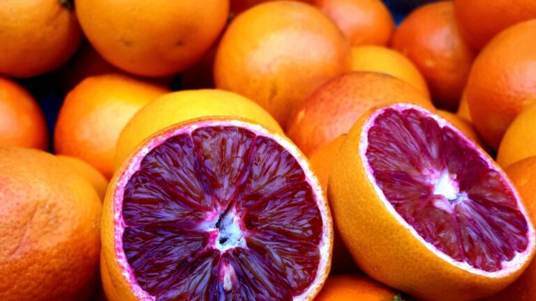 Conserver les oranges sanguines au froid les rend encore plus saines et riches en antioxydants