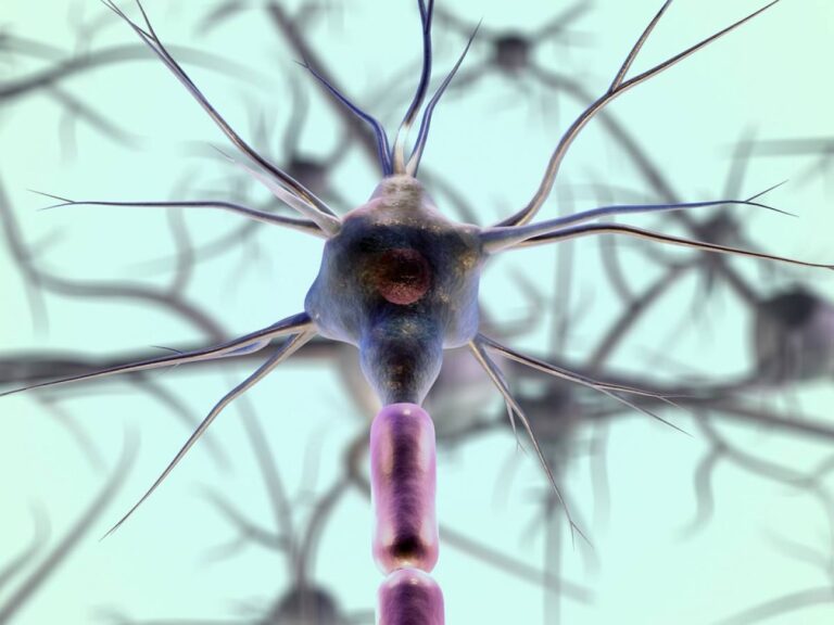 Qu'est-ce que l'ataxie de Friedreich, un ennemi difficile à diagnostiquer