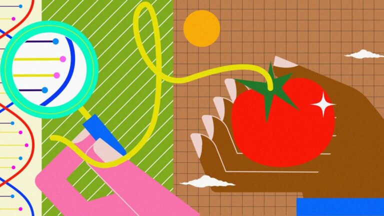 Fondation Veronesi dans les carrés avec des « tomates de recherche », collecte de fonds pour les tumeurs pour enfants et adolescents