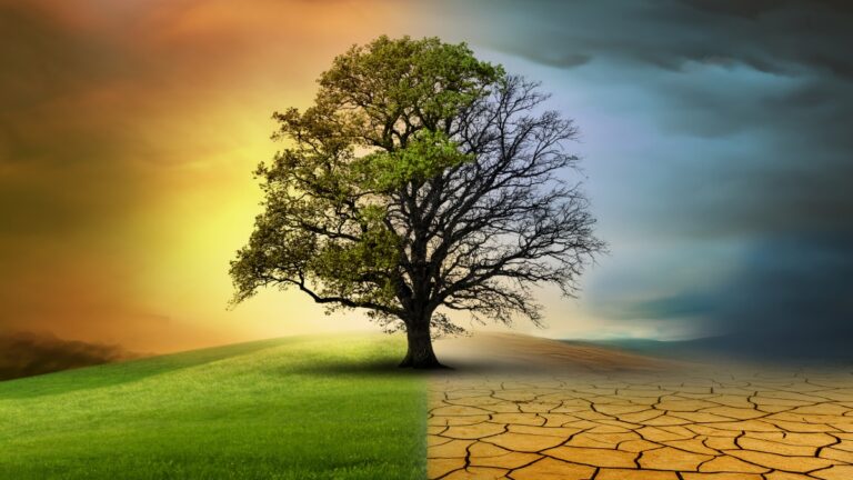 Le microbiote intestinal « souffre » de la crise climatique