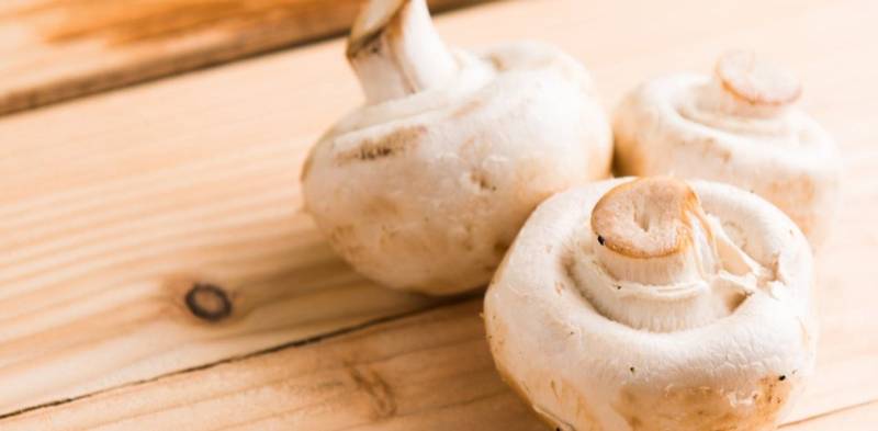 Champignons