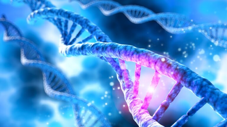Les tumeurs du côlon, dans les métastases, les mutations de l'ADN mettent le « turbo ». Nouvelle étude de l'IRCSS de Canoliolo
