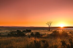 Afrique du Sud