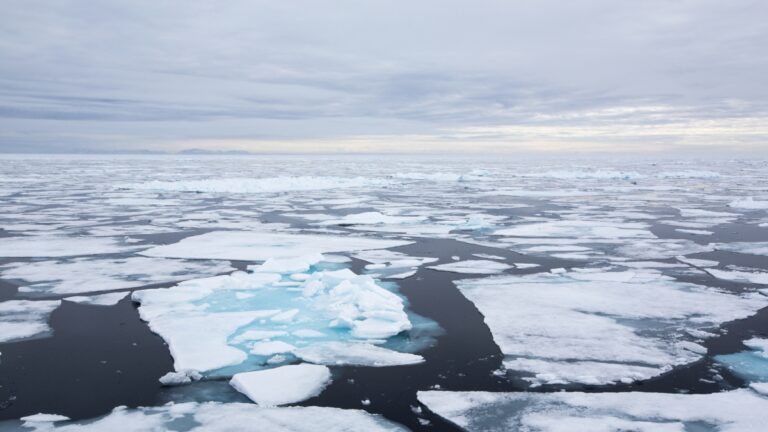 Bactéries résistantes de la Méditerranée à l'Arctique