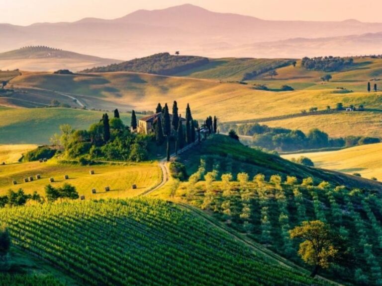 Food and Wine Tourisme: une entreprise à la recherche de professionnels