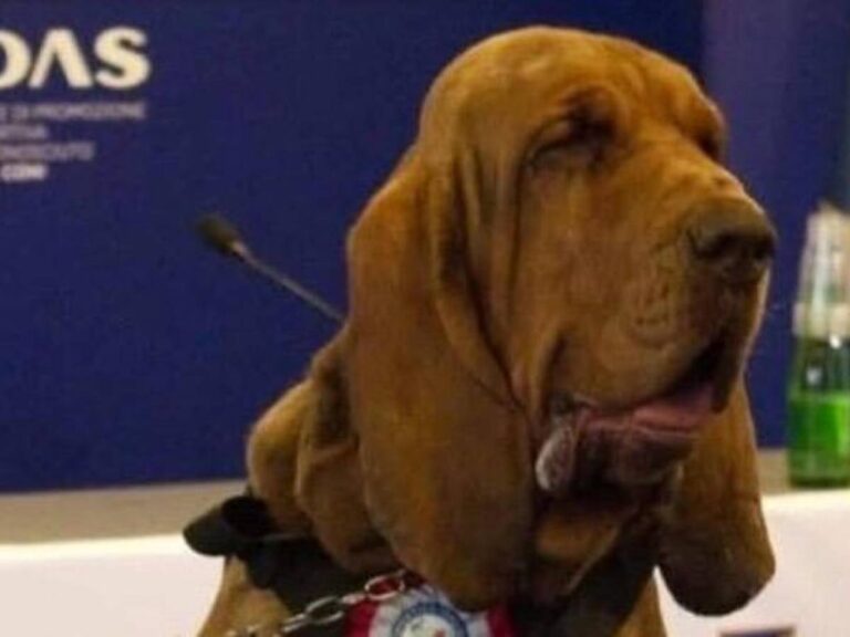 Le meurtre de Bruno est un crime inhumain