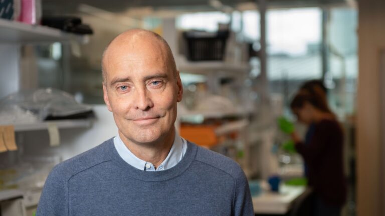 « Neurones de mémoire »: peuvent-ils repousser chez les adultes?