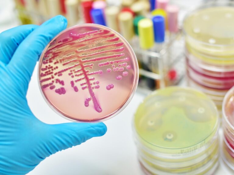 Nous ne les avons pas vus venir