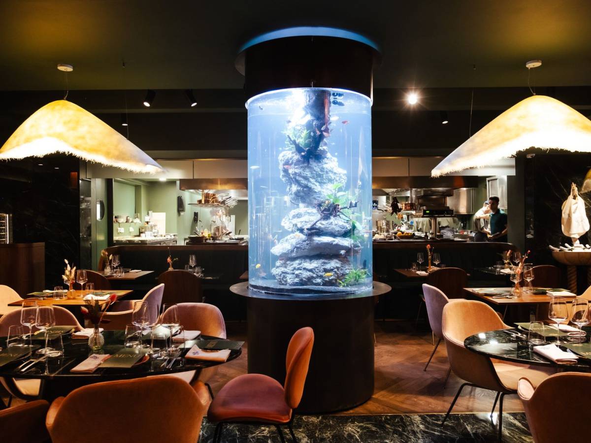 Mérator, la chambre