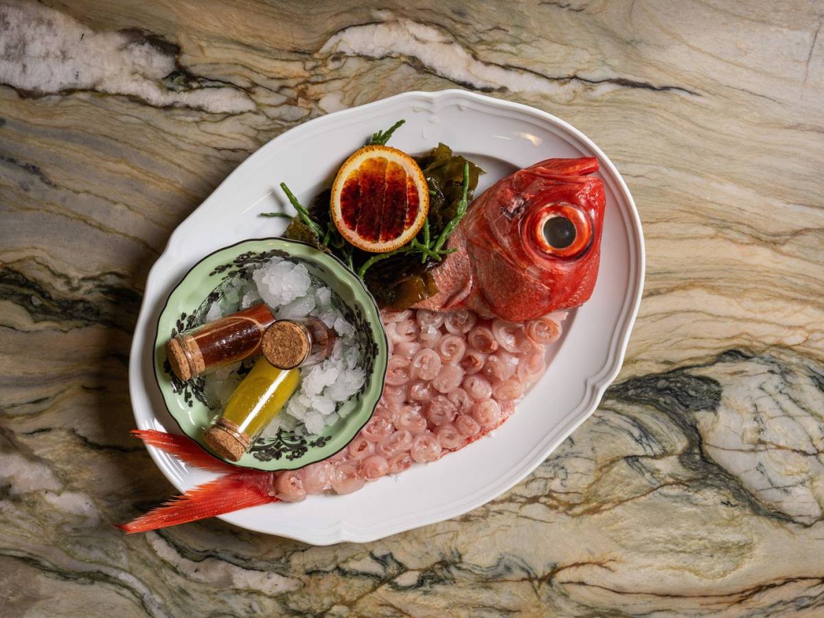 Sea Lady, Carpaccio Alfonsino