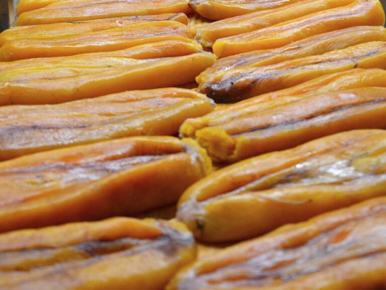 Un festival de Bottarga, le ou du sinis