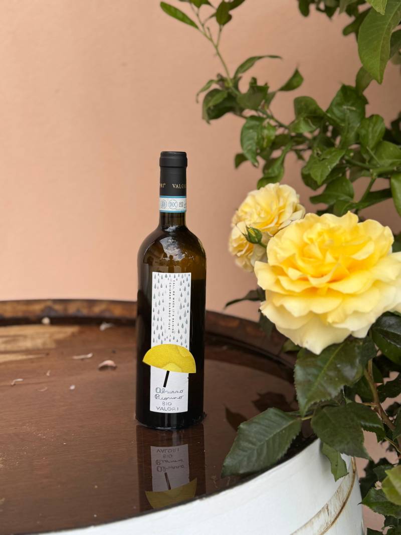 Appelez-moi quand il pleut, Pecorino Bio des Abruzzes DOC