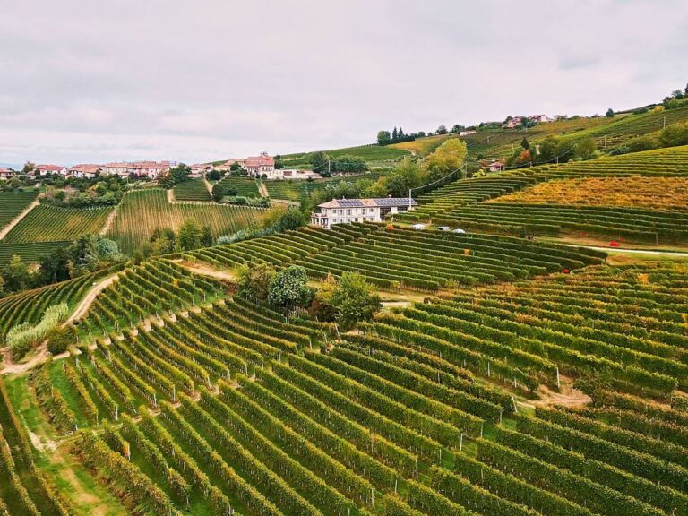 Dosio, les Langhe vues d&rsquo;en haut