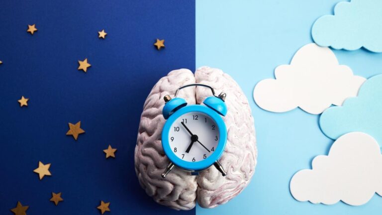Le respect des rythmes circadiens affecte également le risque de démence