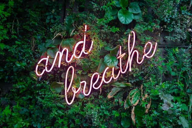Breathwork : la technique de respiration consciente qui transforme votre santé de l'intérieur