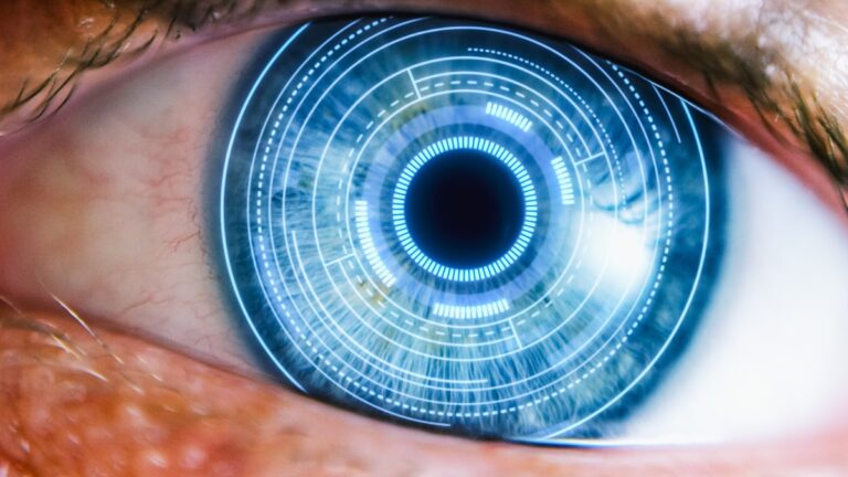 Fake news : la vérité « attire-t-elle l’attention » ? Les élèves révèlent comment nous croyons aux canulars