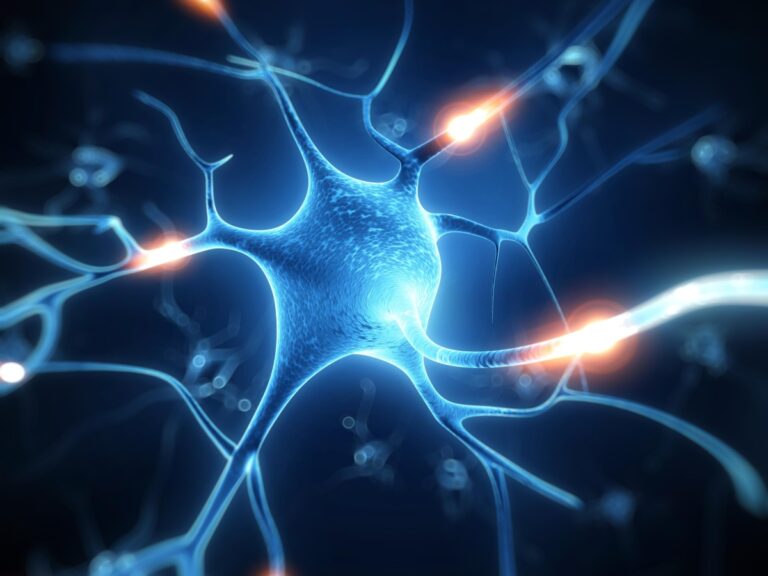 Vous essayez de stimuler un cerveau sain ? C&rsquo;est pour ça que ça n&rsquo;en vaut pas la peine