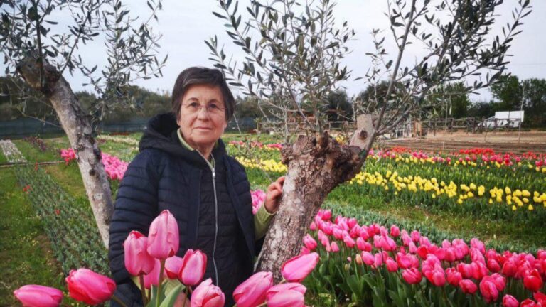 Une mère plante 250 mille tulipes pour sa fille, victime d&rsquo;un cancer des ovaires : « Je soutiens la recherche »
