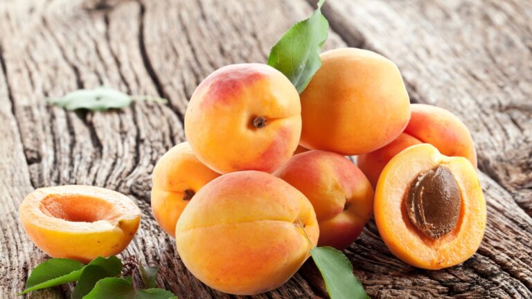 Abricots : sucrés mais légers et pleins de substances qui aident le système immunitaire
