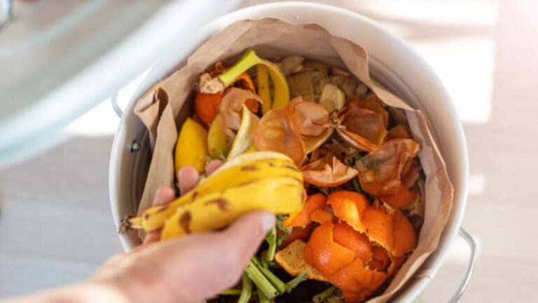 Des pelures de fruits et légumes ? Ils constituent un trésor de composés protecteurs : voici comment les réutiliser en toute sécurité