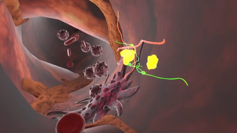 «Laboratoire de prévention VR du côlon. Au-delà de l&rsquo;écran, dans la vie»