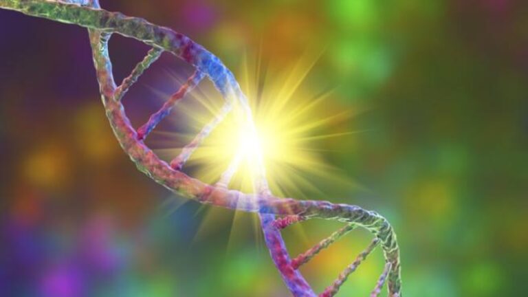 Neurofibromatose: qu&rsquo;est-ce que c&rsquo;est, les différentes formes, symptômes, traitements