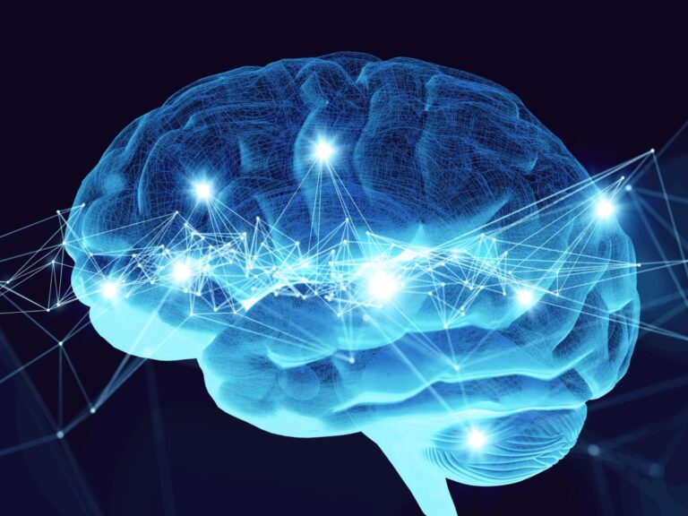 Nouvel éclairage sur la neurobiologie de la créativité