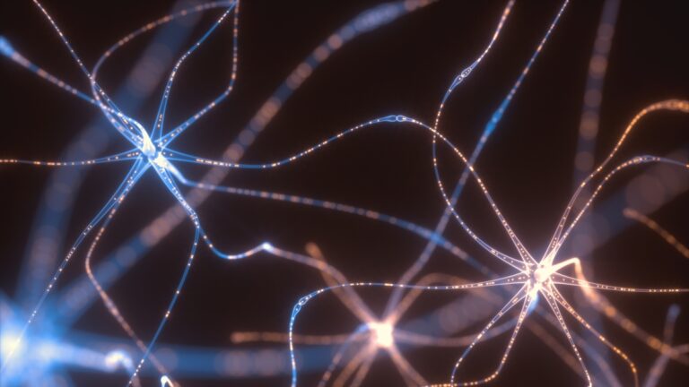 Une étude identifie trois modèles distincts de déclin cognitif dans la maladie d&rsquo;Alzheimer
