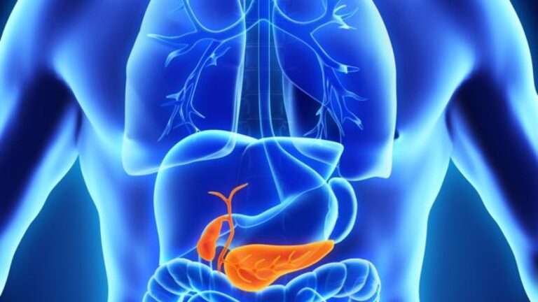 Cancer du pancréas, un nouveau médicament révolutionne les traitements