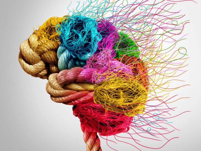 Comment faire prospérer son cerveau même après 65 ans : la méthode 3S (et pourquoi certaines manquent)