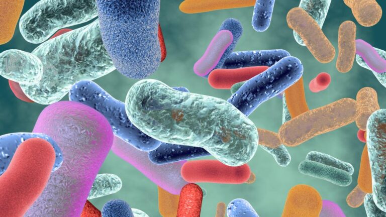 Le rôle du microbiote dans l’épilepsie pharmacorésistante