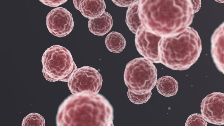 Sarcomes, une avancée dans la médecine de précision : l&rsquo;étude dans «Lancet»