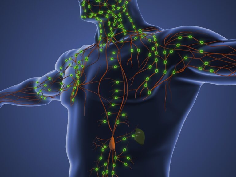Nouveaux traitements disponibles pour les tumeurs du système lymphatique, la leucémie lymphoïde chronique et le lymphome à cellules du manteau
