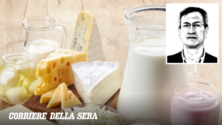 Calcium et produits laitiers : les produits laitiers peuvent-ils nuire à la santé des os ?