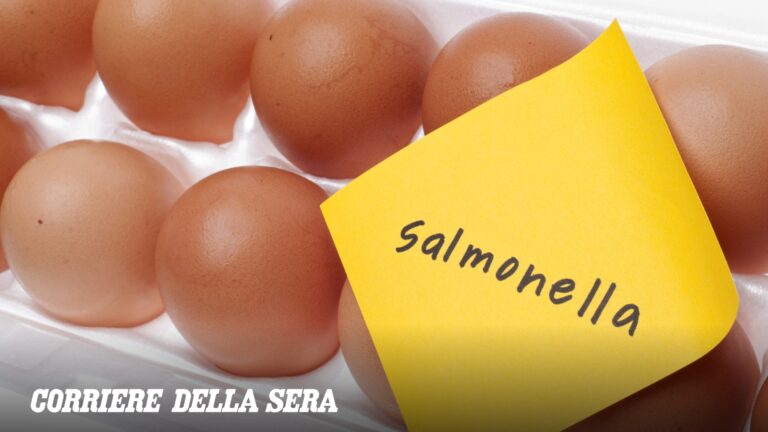 Oeufs frais rappelés par Eurospin en raison d&rsquo;un risque de salmonelle : quels sont les dangers pour la santé ?