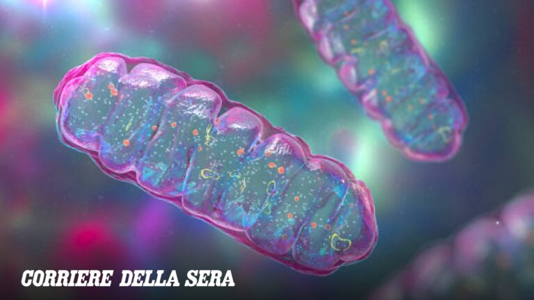 Maladies mitochondriales : qu&rsquo;est-ce qu&rsquo;elles sont et quels organes elles affectent. Peuvent-ils être guéris ?