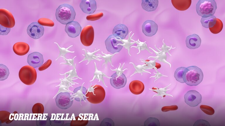 Tumeurs myéloprolifératives chroniques : des cancers du sang dont presque personne ne connaît l&rsquo;existence (mais qui touchent 2 000 Italiens par an)