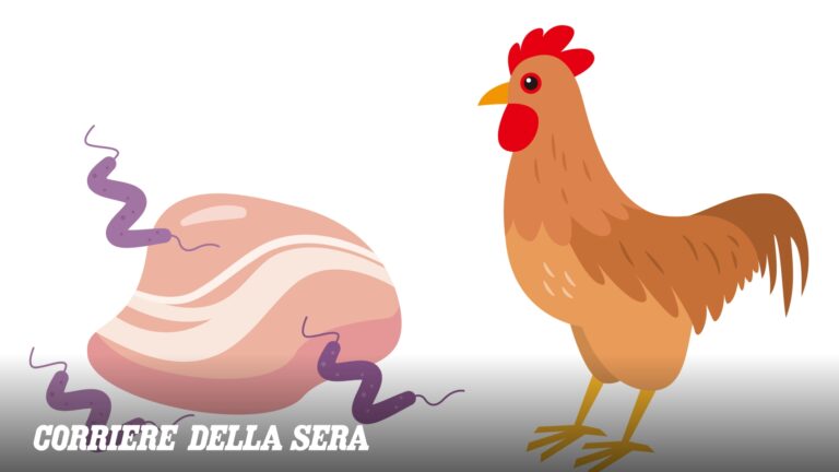 La lumière bleue pourrait réduire les cas de maladies d&rsquo;origine alimentaire chez la volaille crue